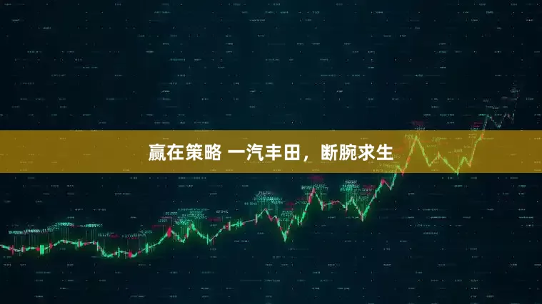 赢在策略 一汽丰田，断腕求生