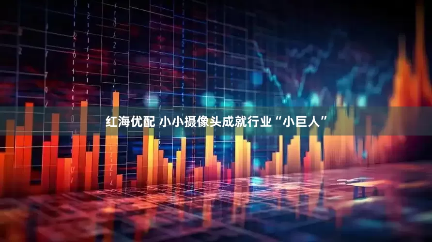 红海优配 小小摄像头成就行业“小巨人”