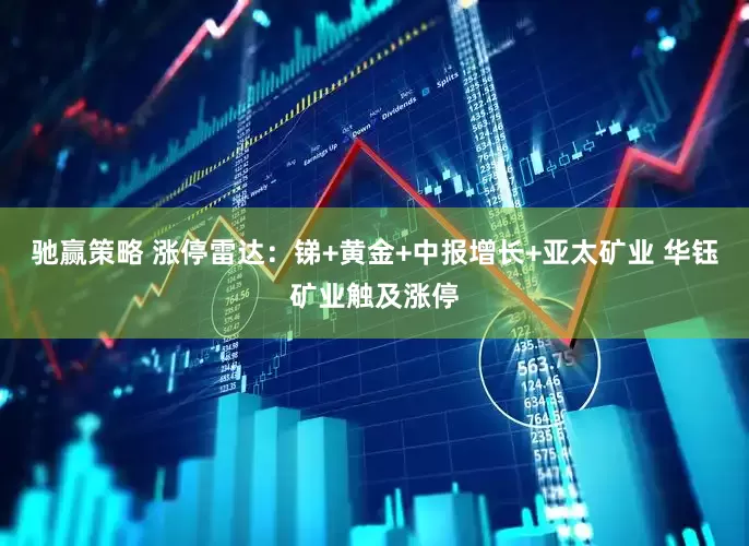 驰赢策略 涨停雷达：锑+黄金+中报增长+亚太矿业 华钰矿业触及涨停